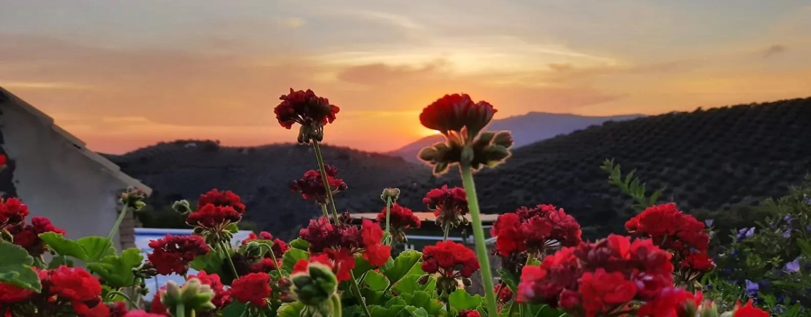 Cortijo Chaparro Near Iznajar Villa Fuentes de Cesna Spain